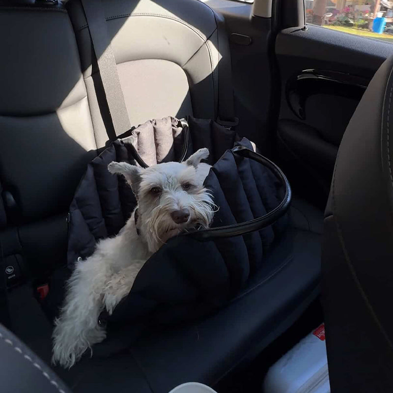 Pet Carrier Outing Portable Cat Dog Bag Breathable