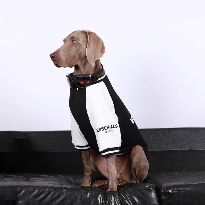 Baseball Jacket Big Dog Clothes - PIKAPIKA