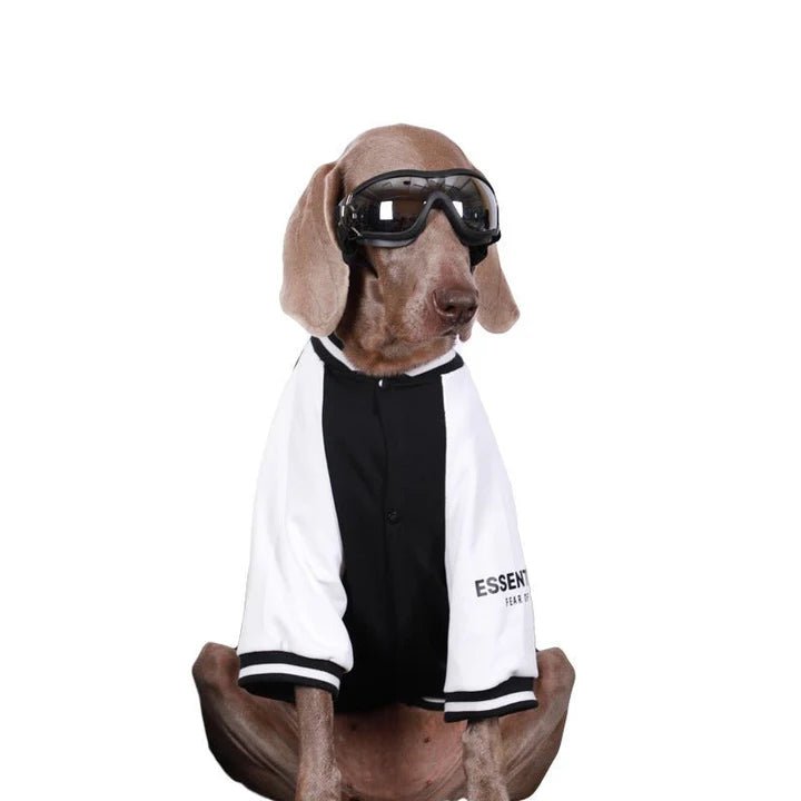 Baseball Jacket Big Dog Clothes - PIKAPIKA