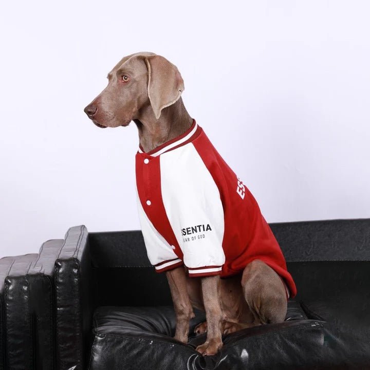 Baseball Jacket Big Dog Clothes - PIKAPIKA