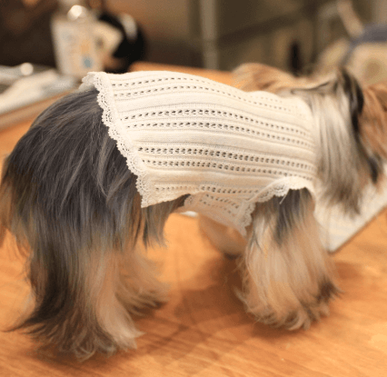 Dog T-Shirt - Cotton Breathable Pet Tee with Mesh Stripe