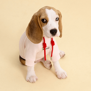 Printed Cotton Pet Sweater – Dog Fall/Winter Top