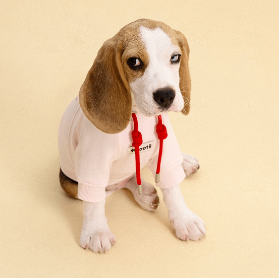 Printed Cotton Pet Sweater – Dog Fall/Winter Top