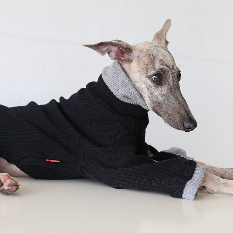 Bell Sleeve Knit Sweater Italian Greyhound Whippet Dog Clothes - PIKAPIKA