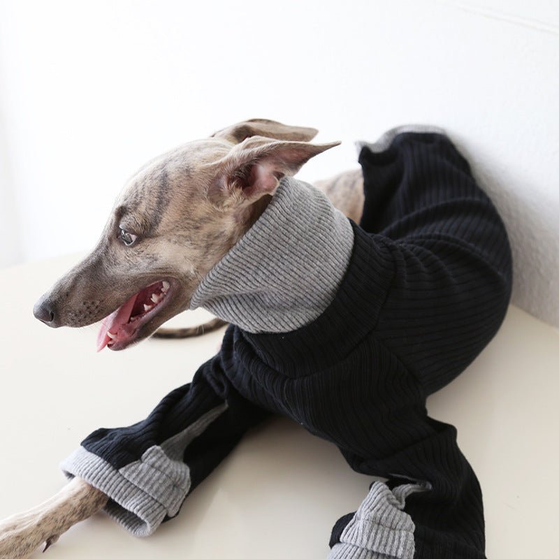 Bell Sleeve Knit Sweater Italian Greyhound Whippet Dog Clothes - PIKAPIKA