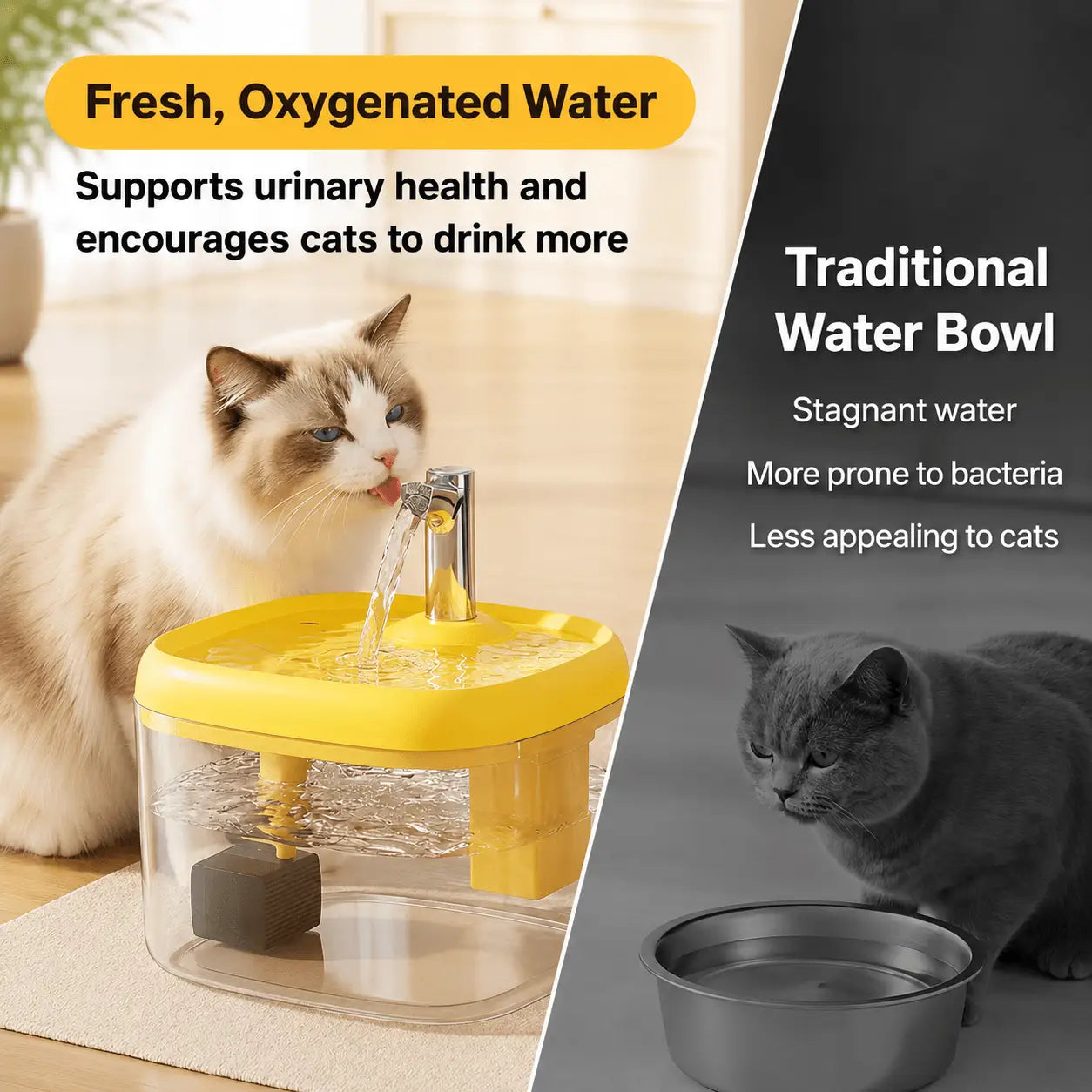 Premium Continuous Water Circulation Pet Fountain