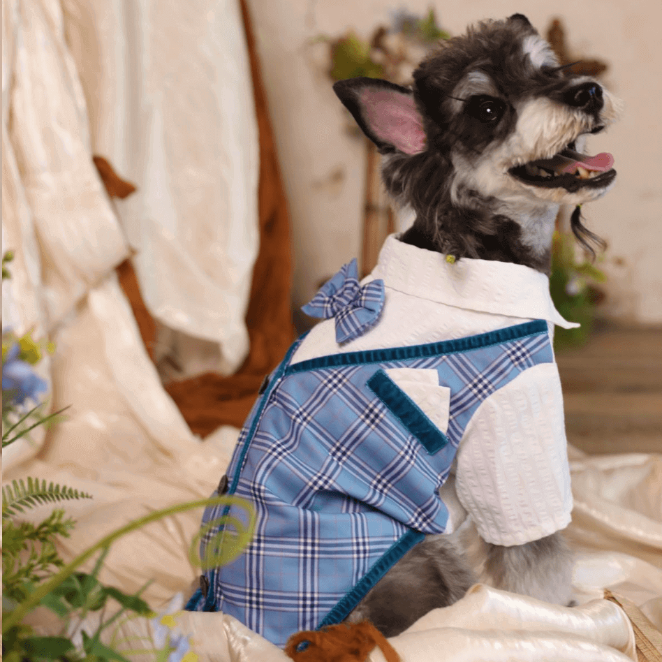 BELO Bowtie Faux Two-Piece Pet Outfit – Stylish Design