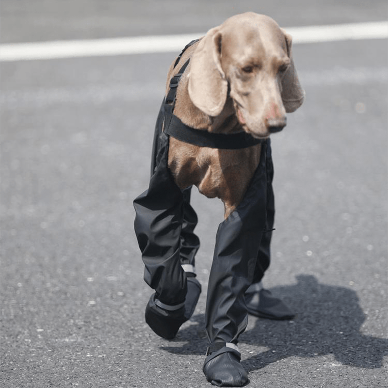 Big Dog Boots Large Size Dog Shoes Waterproof Outdoor Gear - PIKAPIKA