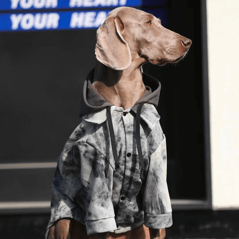 Big Dog Clothes Hoodie Jacket Button Tie Die Casual Wear - PIKAPIKA