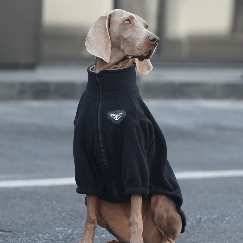 Big Dog Clothes Pullover Sweatshirts Fleece Zip Jacket Casual Wear - PIKAPIKA