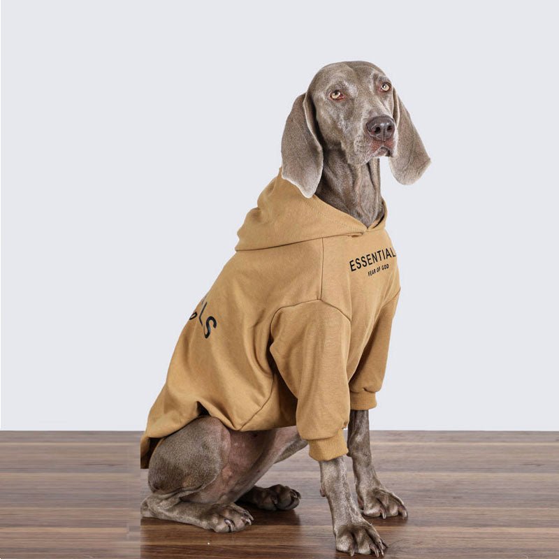 Big Dog Clothing Casual Hoodie - PIKAPIKA
