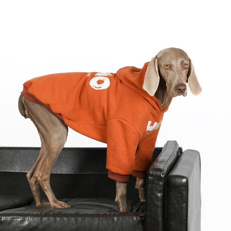 Big Dog Clothing Casual Hoodie - PIKAPIKA