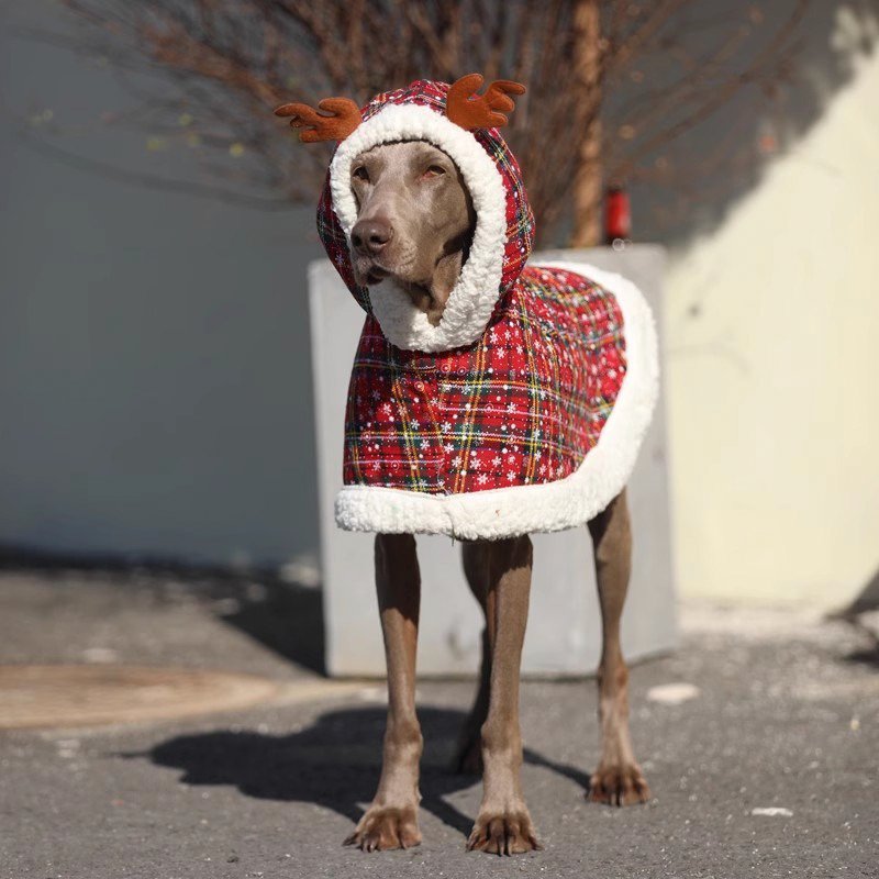 Big Dog Clothing Christmas Hoodie Coat Cloak - PIKAPIKA
