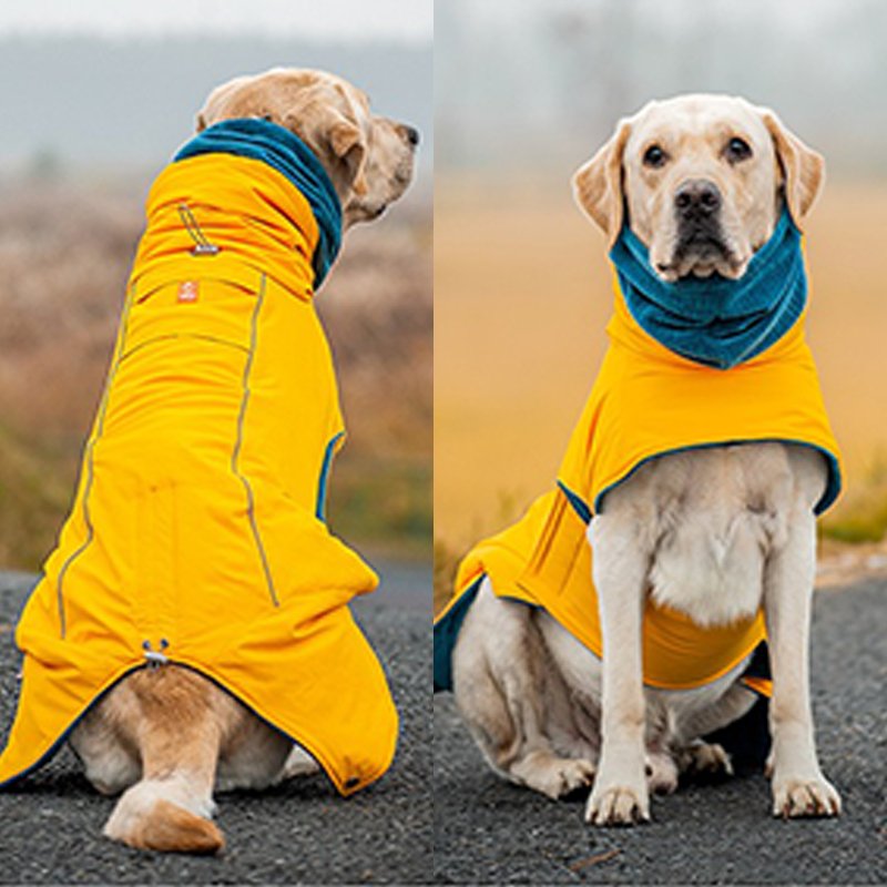 Big Dog Clothing Cotton Padding Coat Winter Jacket - PIKAPIKA