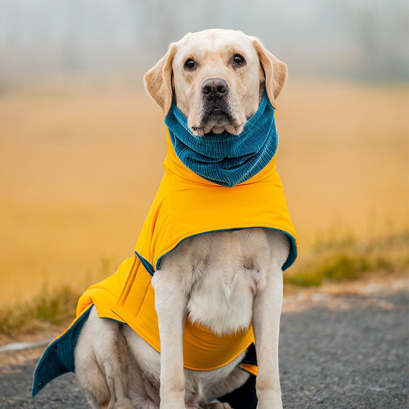 Big Dog Clothing Cotton Padding Coat Winter Jacket - PIKAPIKA