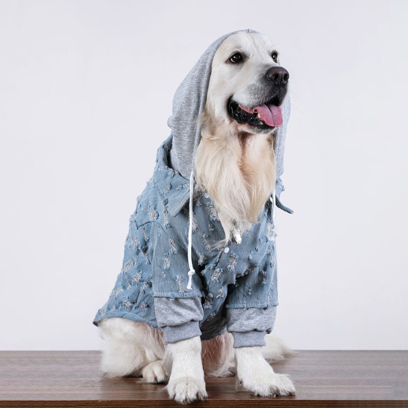 Big Dog Clothing Denim Hoodie Jacket - PIKAPIKA
