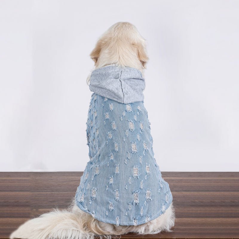Big Dog Clothing Denim Hoodie Jacket - PIKAPIKA