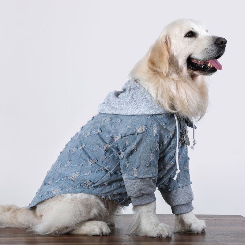 Big Dog Clothing Denim Hoodie Jacket - PIKAPIKA