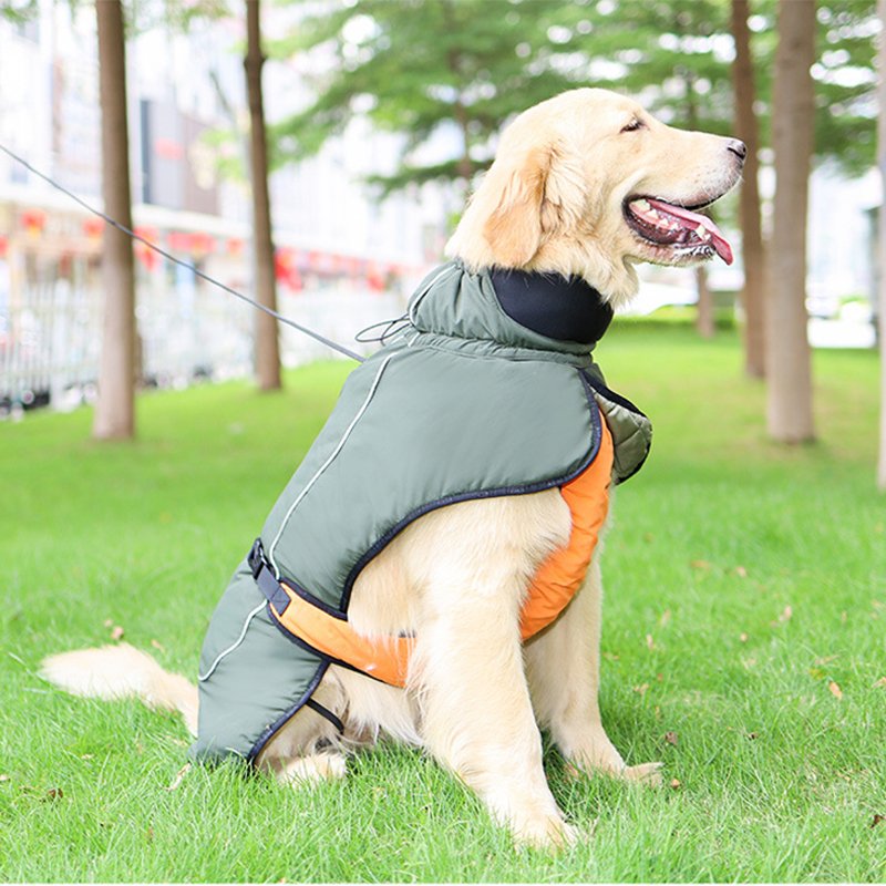 Big Dog Clothing Outdoor Jacket Waterproof Windproof Raincoat - PIKAPIKA