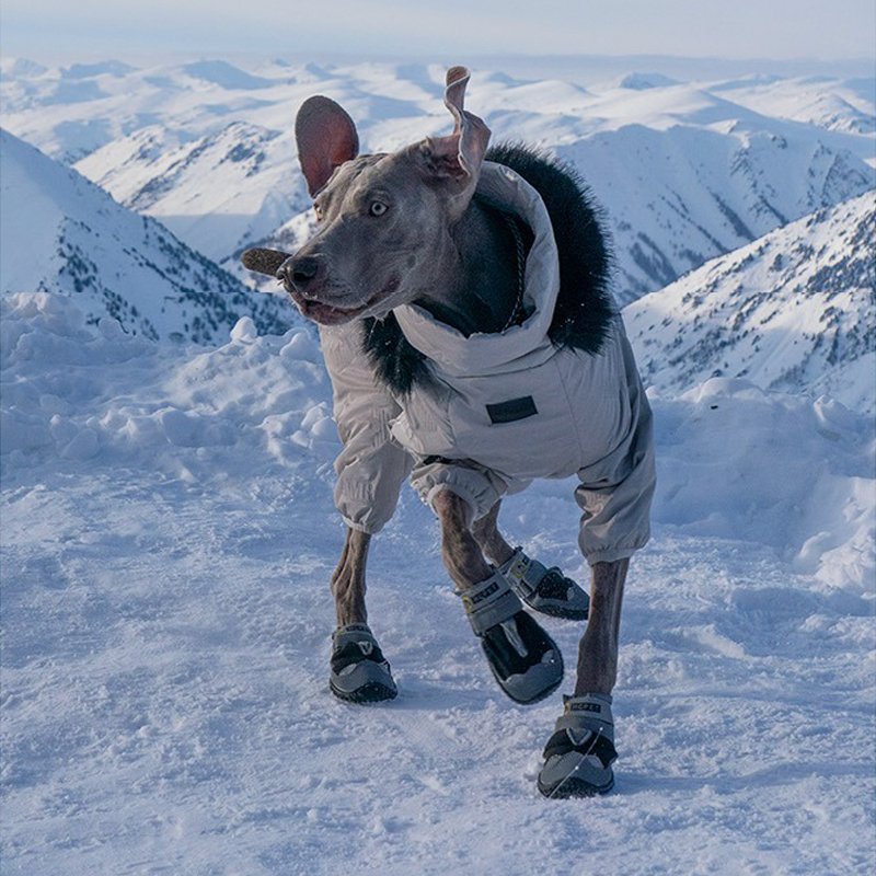 Big Dog Clothing Snowsuit Onesie Coat Padded Jacket - PIKAPIKA