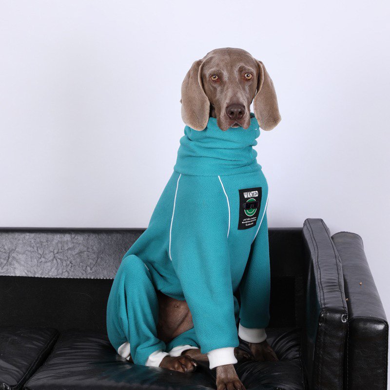 Big Dog Clothing Turtleneck Fleece Onesie - PIKAPIKA