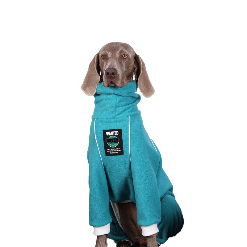 Big Dog Clothing Turtleneck Fleece Onesie - PIKAPIKA