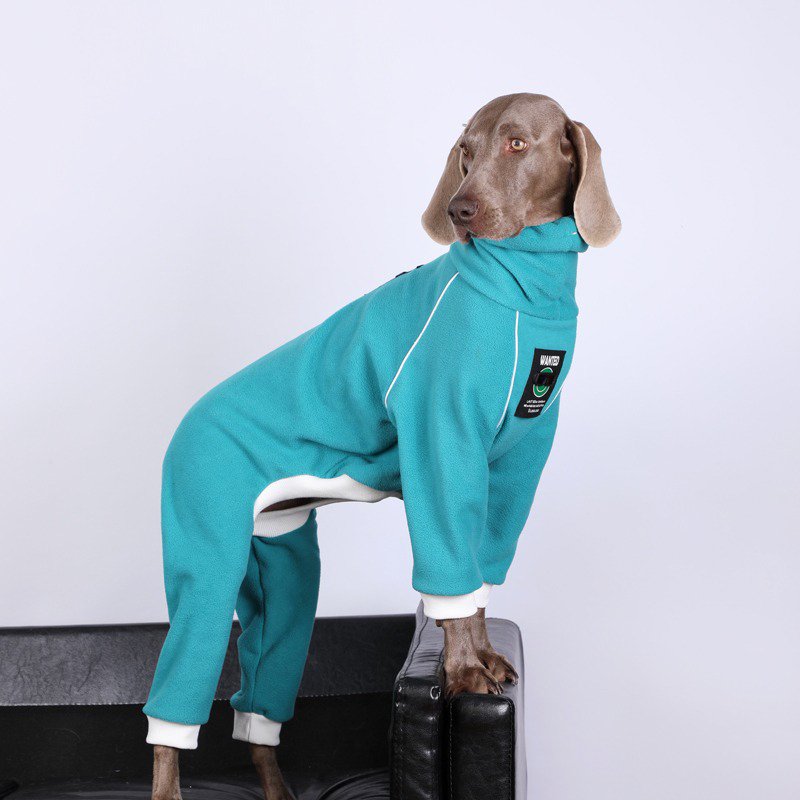 Big Dog Clothing Turtleneck Fleece Onesie - PIKAPIKA
