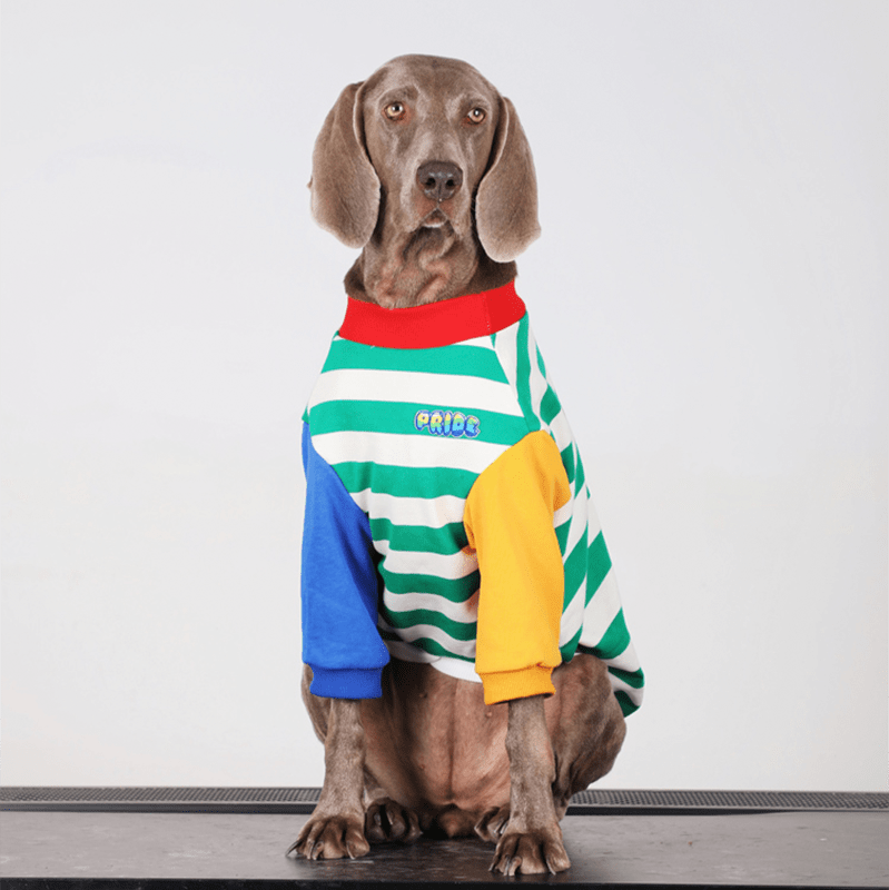 Big Dog Hoodie Large Size Clothes Cotton Casual Shirts Sweatshirts - PIKAPIKA