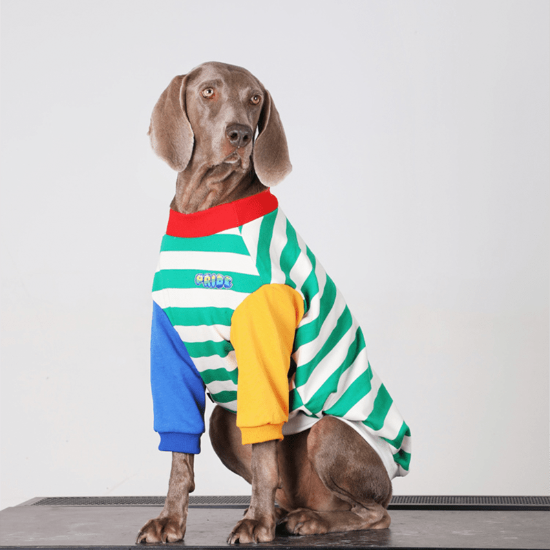 Big Dog Hoodie Large Size Clothes Cotton Casual Shirts Sweatshirts - PIKAPIKA