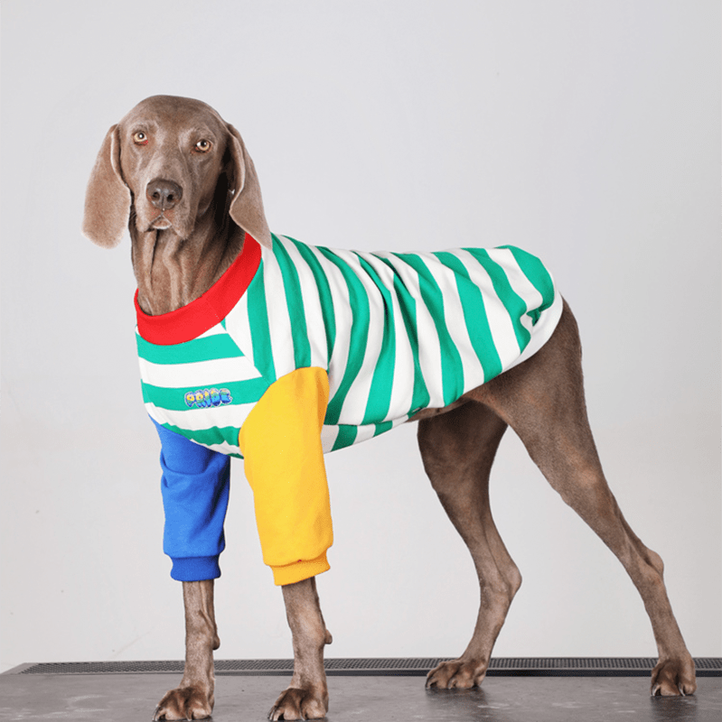 Big Dog Hoodie Large Size Clothes Cotton Casual Shirts Sweatshirts - PIKAPIKA