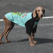 Big Dog Hoodie Large Size Clothes Cotton Casual Shirts Sweatshirts Cyan - PIKAPIKA