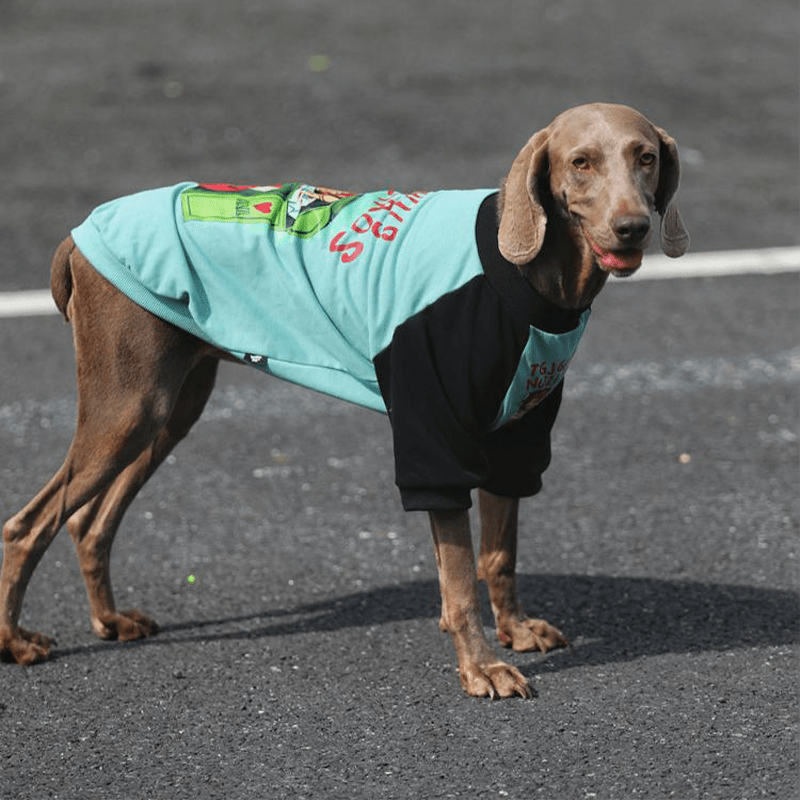 Big Dog Hoodie Large Size Clothes Cotton Casual Shirts Sweatshirts Cyan - PIKAPIKA