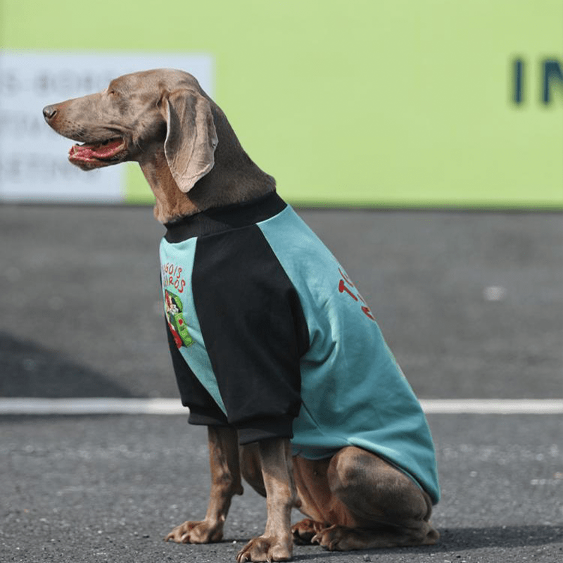 Big Dog Hoodie Large Size Clothes Cotton Casual Shirts Sweatshirts Cyan - PIKAPIKA