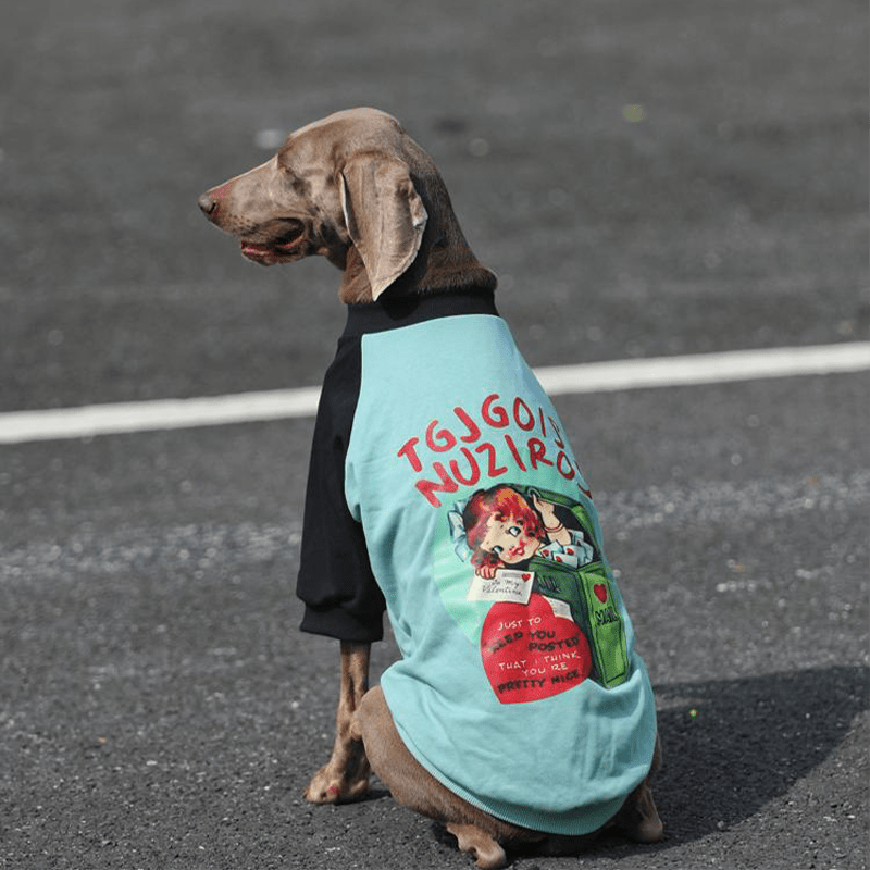 Big Dog Hoodie Large Size Clothes Cotton Casual Shirts Sweatshirts Cyan - PIKAPIKA