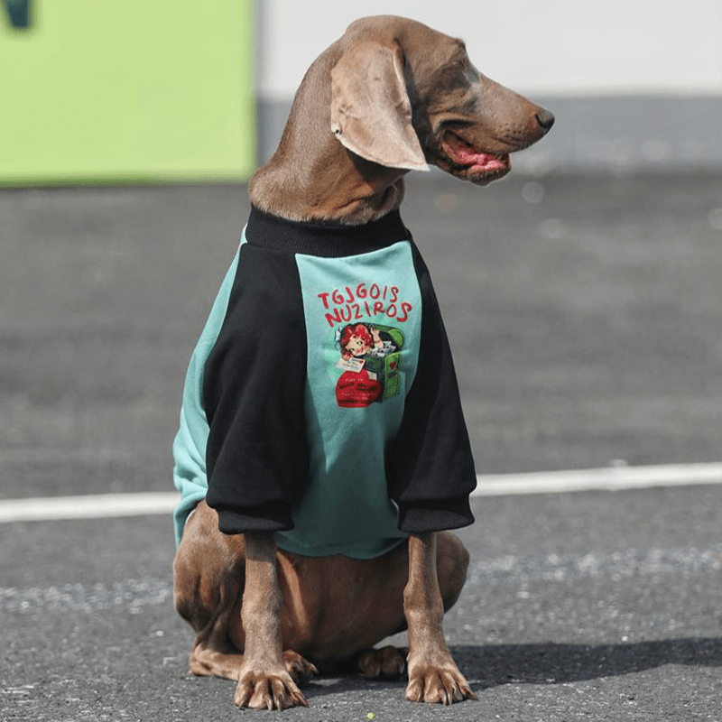 Big Dog Hoodie Large Size Clothes Cotton Casual Shirts Sweatshirts Cyan - PIKAPIKA