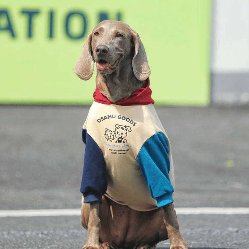 Big Dog Hoodie Large Size Clothes Cotton Shirts Sweatshirts - PIKAPIKA