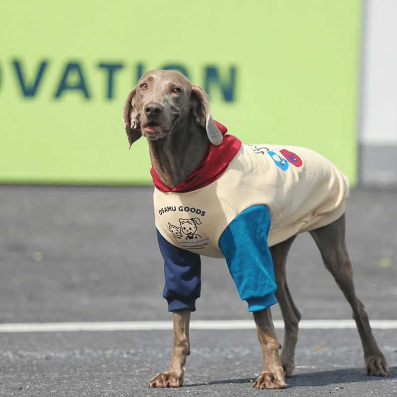 Big Dog Hoodie Large Size Clothes Cotton Shirts Sweatshirts - PIKAPIKA