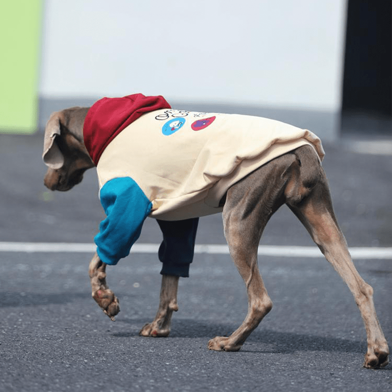 Big Dog Hoodie Large Size Clothes Cotton Shirts Sweatshirts - PIKAPIKA