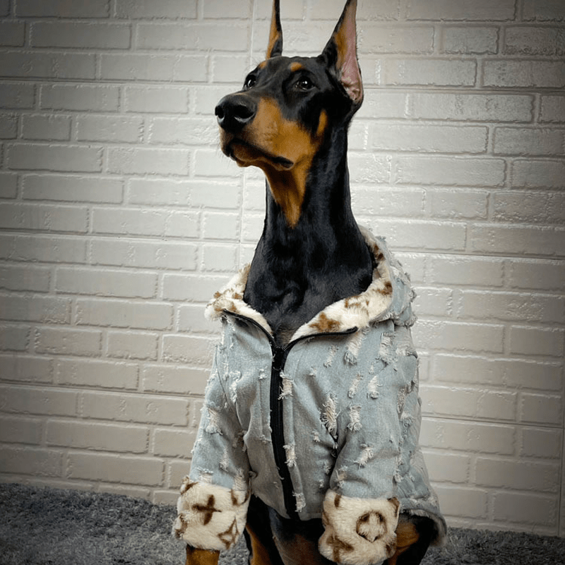 Big Dog Jacket Faux Fur Denim Zip Coat Warm Winter Clothes - PIKAPIKA