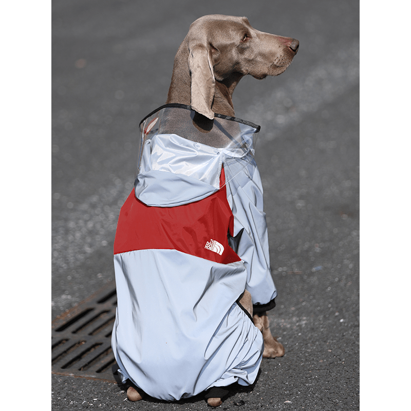 Big Dog Raincoats Large Size Clothes Hoodie Waterproof - PIKAPIKA