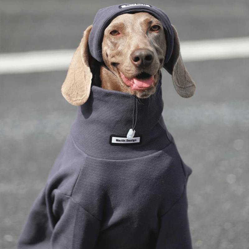 Big Dog Sweatshirts Large Size Dog Clothes Athletic Hoodie Shirts with Hat - PIKAPIKA
