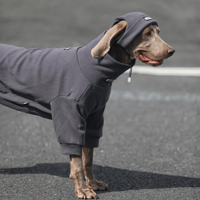 Big Dog Sweatshirts Large Size Dog Clothes Athletic Hoodie Shirts with Hat - PIKAPIKA