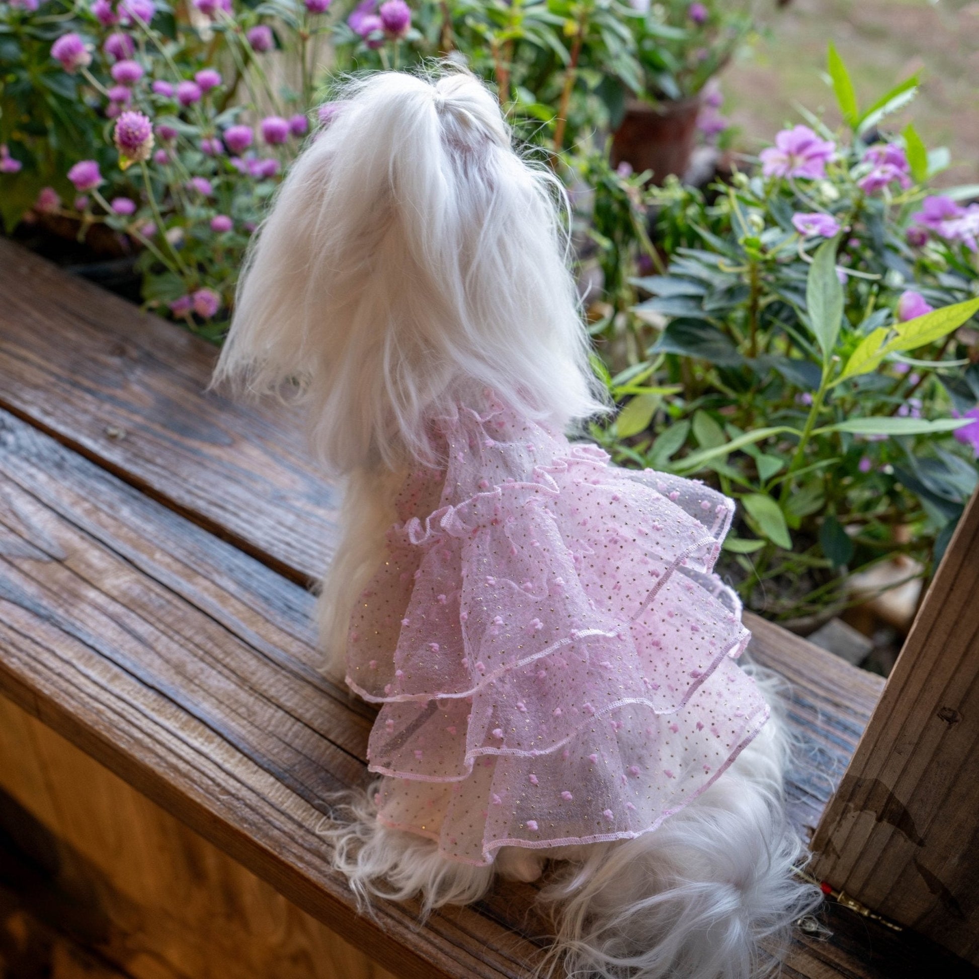 Bling Tulle Layered Dress – Elegant Party Look for Toy Dogs - PIKAPIKA