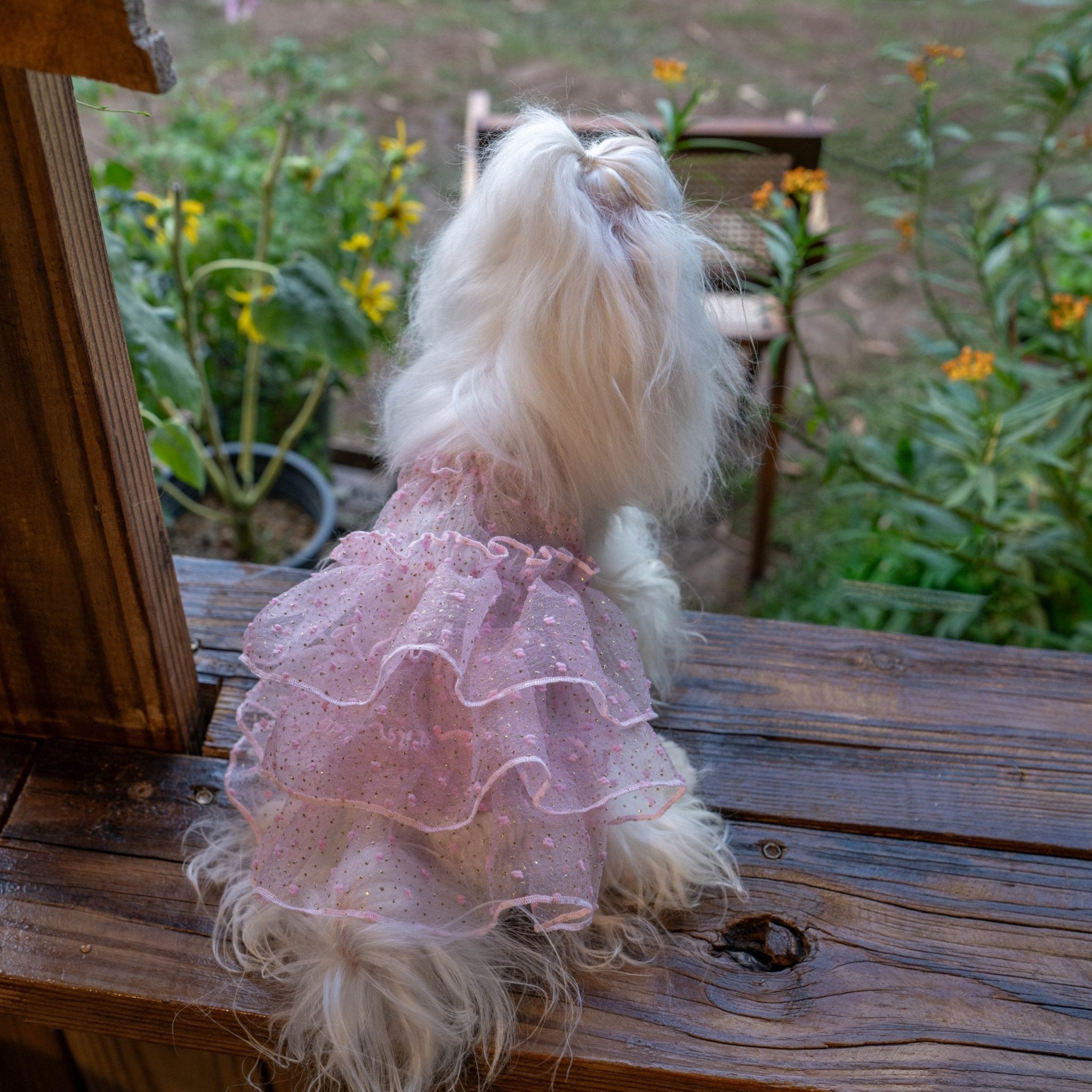 Bling Tulle Layered Dress – Elegant Party Look for Toy Dogs - PIKAPIKA