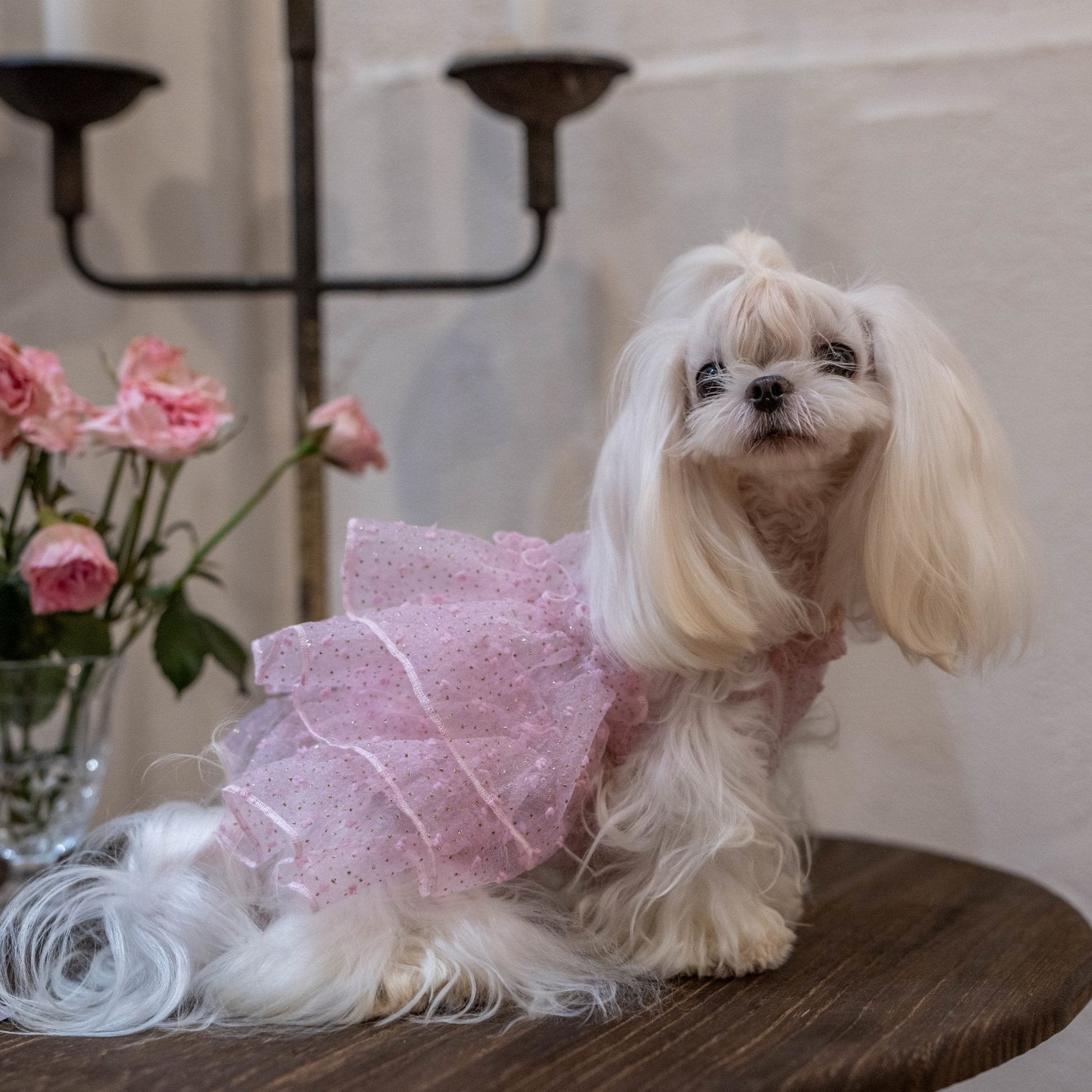 Bling Tulle Layered Dress – Elegant Party Look for Toy Dogs - PIKAPIKA