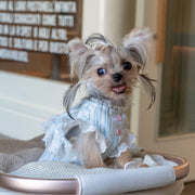 Breathable Cotton Shirt with Pumpkin Design for Toy Dogs - PIKAPIKA