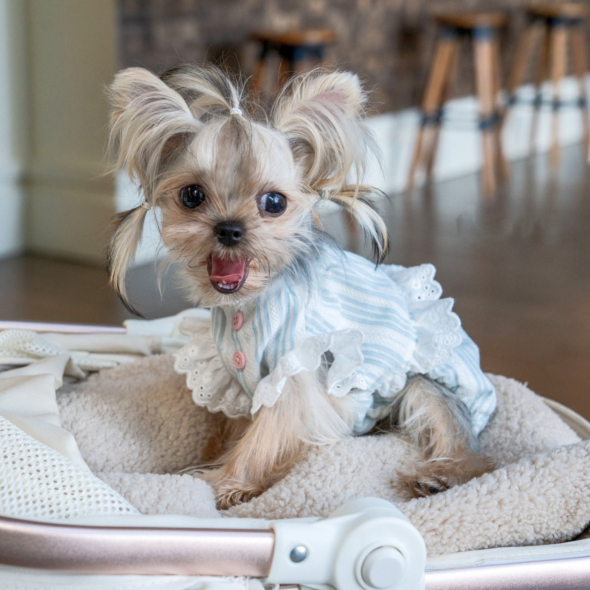 Breathable Cotton Shirt with Pumpkin Design for Toy Dogs - PIKAPIKA