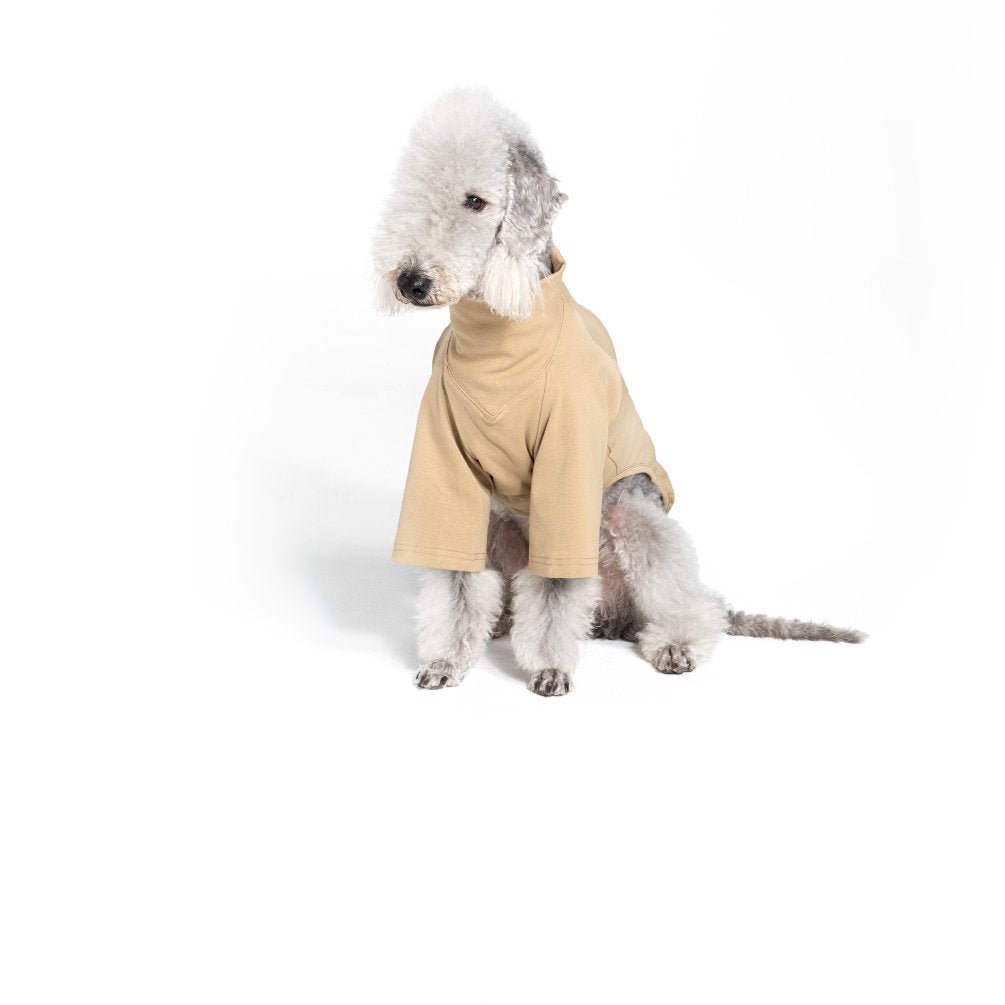 Breathable Cotton Two - Leg Dog Outfit for Bedlington Terriers - PIKAPIKA