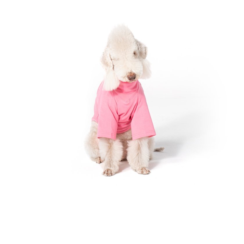 Breathable Cotton Two - Leg Dog Outfit for Bedlington Terriers - PIKAPIKA