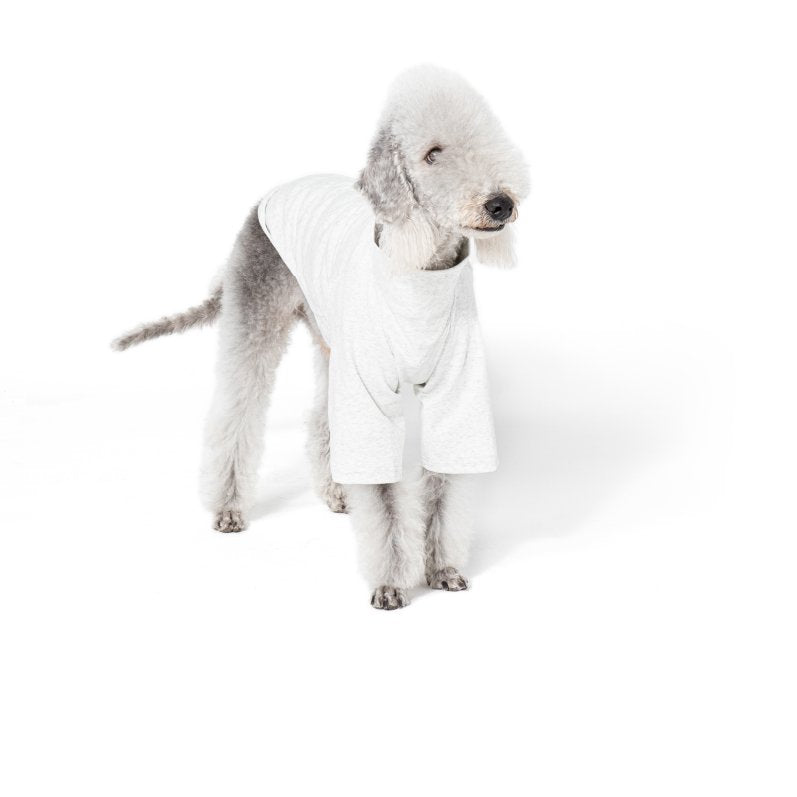 Breathable Cotton Two - Leg Dog Outfit for Bedlington Terriers - PIKAPIKA